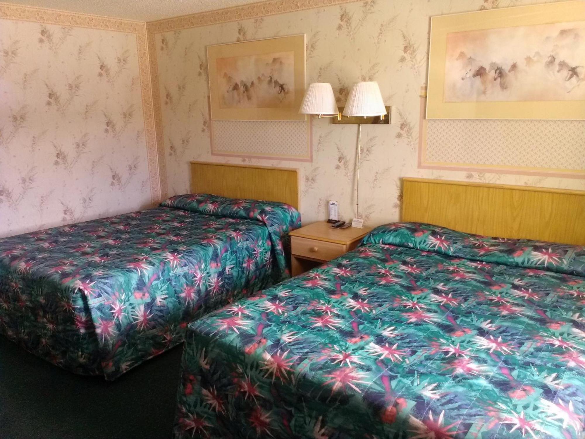 Motel 8 Willcox Quarto foto
